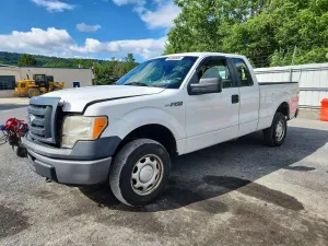 Ford F-150 4.6L 8 2010