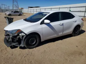 Toyota Corolla 1.8L 4 2019