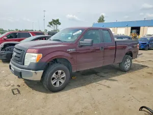 Ford F-150 4.6L 8 2009