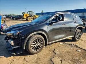 Lexus NX 2.4L 4 2024