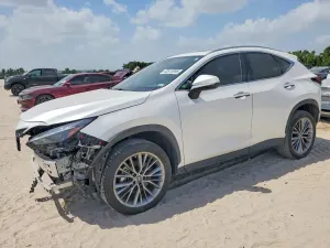 Lexus NX 2.4L 4 2022