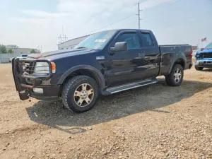 Ford F-150 5.4L 8 2004