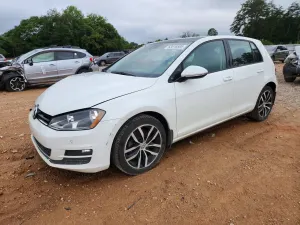 Volkswagen Golf 1.8L 4 2016