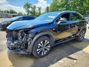 Lexus NX 2.0L 4 2020