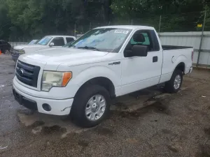 Ford F-150 4.6L 8 2009