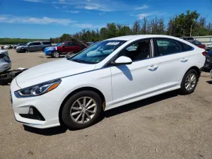 Hyundai Sonata 2.4L 4 2019