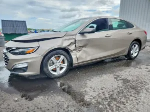 Chevrolet Malibu 1.5L 4 2023