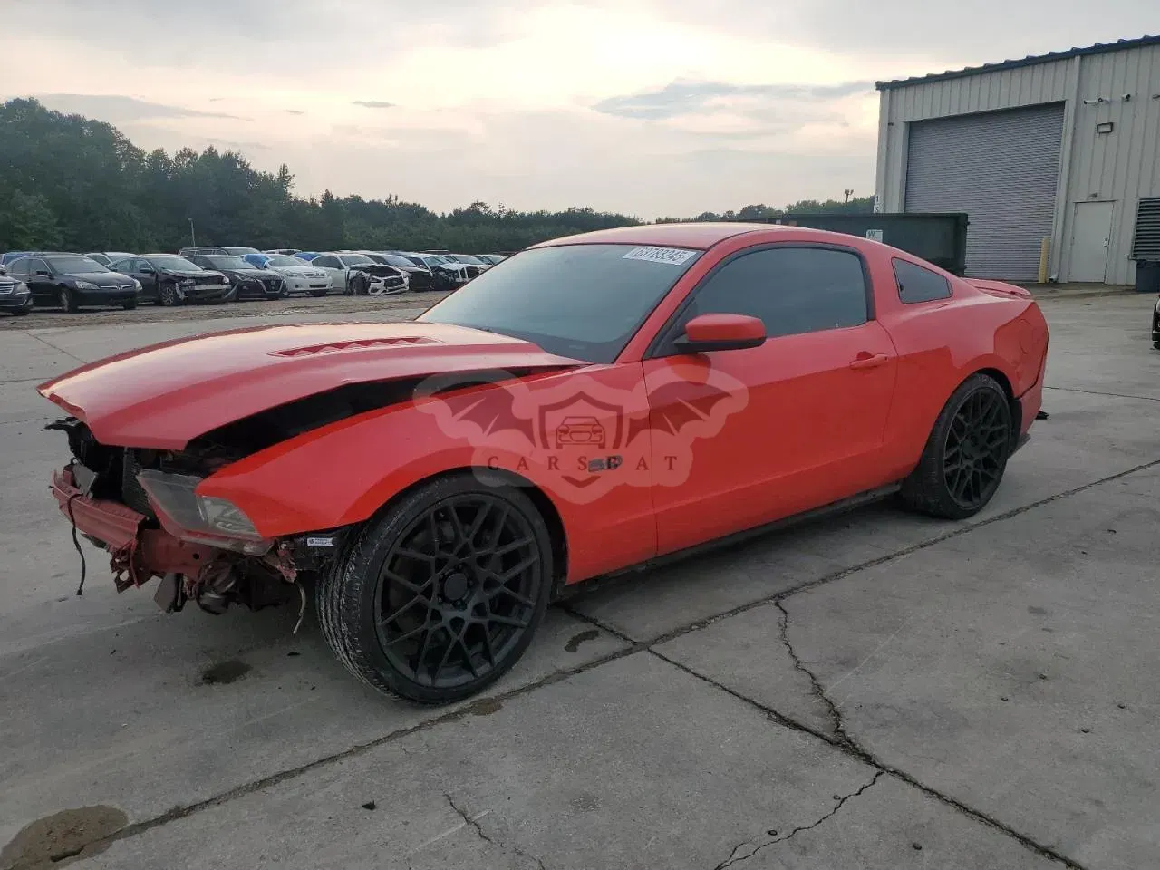 Ford Mustang GT 5.0L 8 2014