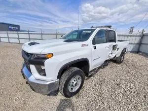 Chevrolet Silverado 1500 6.6L 8 2023
