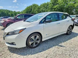 Nissan Leaf 0.0L 0 2019