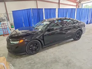 Honda Accord 1.5L 4 2025