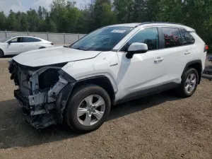 Toyota Rav4 LE 2.5L 4 2019