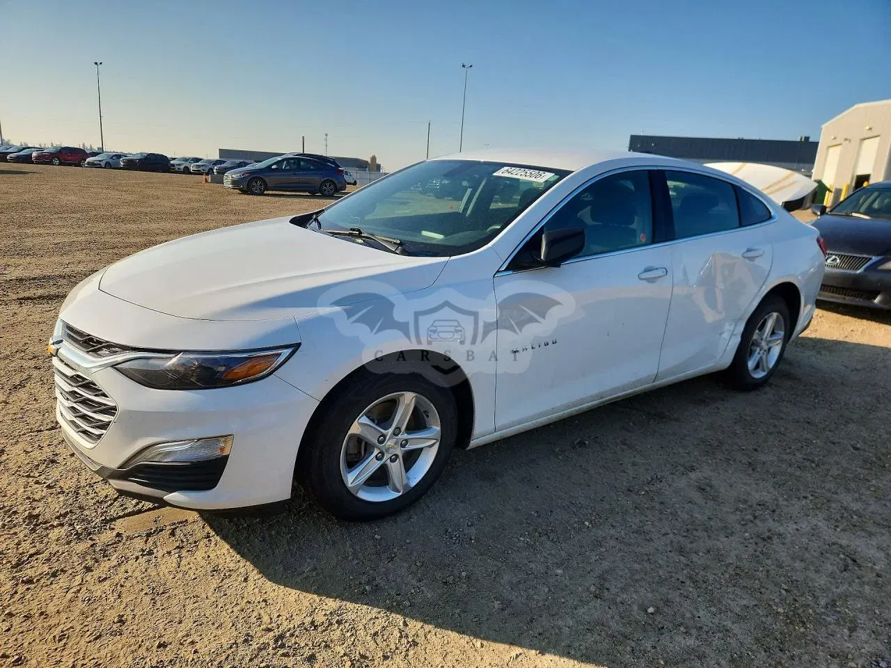 Chevrolet Malibu 1.5L 4 2019