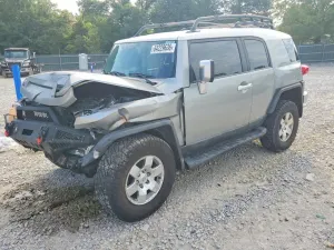 Toyota FJ Cruiser 4.0L 6 2010