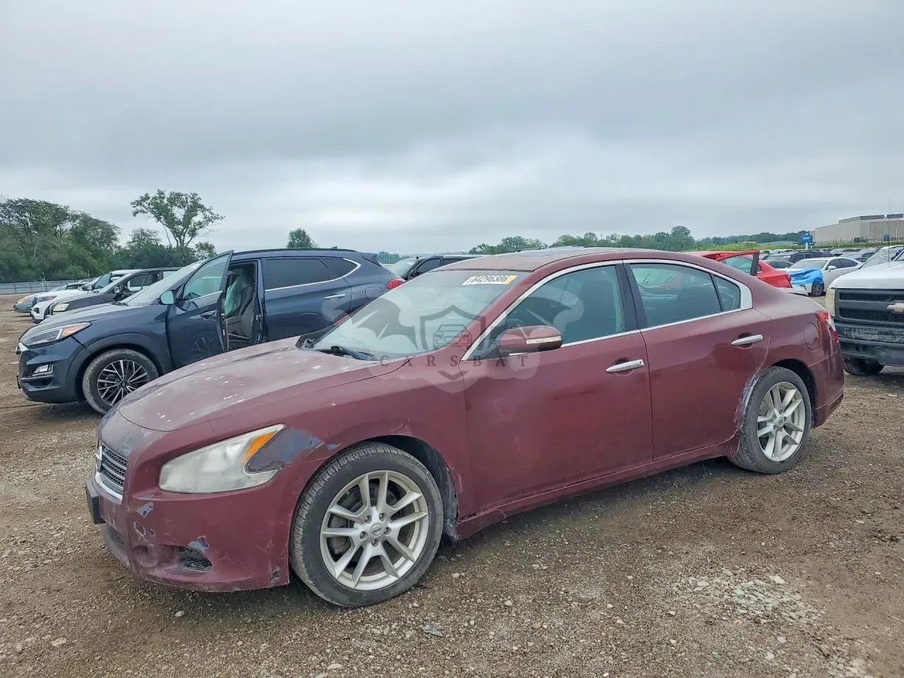 Nissan Maxima 3.5L 6 2011