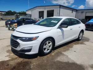 Chevrolet Malibu 1.5L 4 2019
