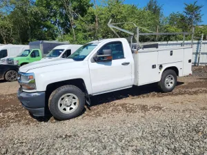Chevrolet Silverado 1500 5.3L 8 2016