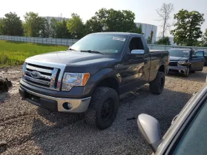 Ford F-150 4.6L 8 2009