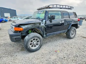 Toyota FJ Cruiser 4.0L 6 2008