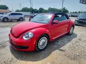 Volkswagen Beetle 1.8L 4 2015
