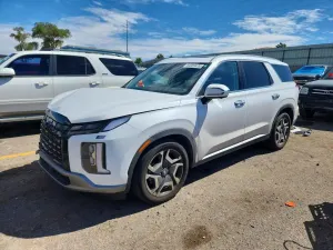 Hyundai Palisade 3.8L 6 2024