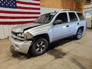 Chevrolet Trailblazer 4.2L 6 2006