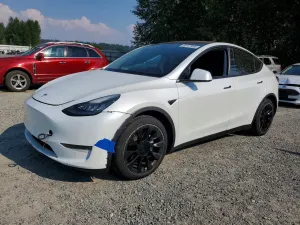 Tesla Model Y 2020