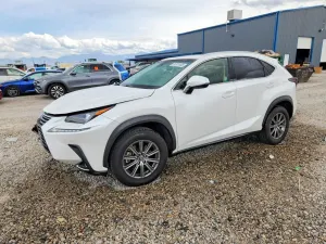 Lexus NX 2.0L 4 2019