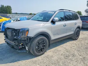 Kia Telluride 3.8L 6 2024