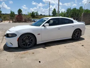 Dodge Charger SCAT PACK 6.4L 8 2019