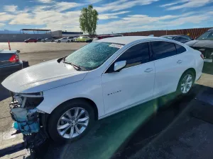 Chevrolet Malibu 1.5L 4 2019