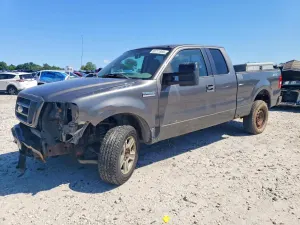 Ford F-150 4.6L 8 2005
