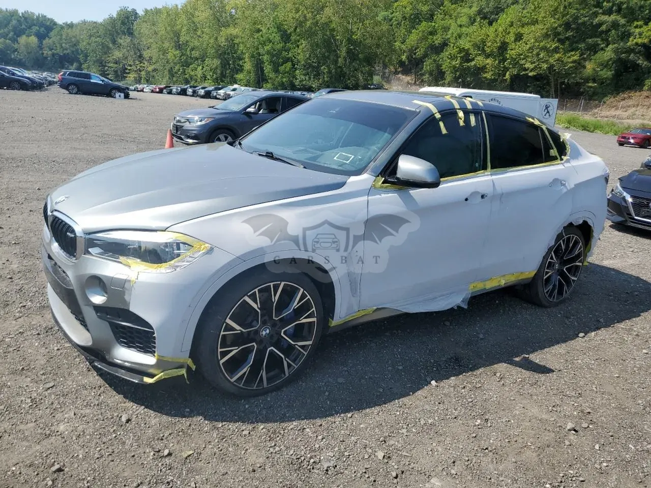 BMW X6 4.4L 8 2017