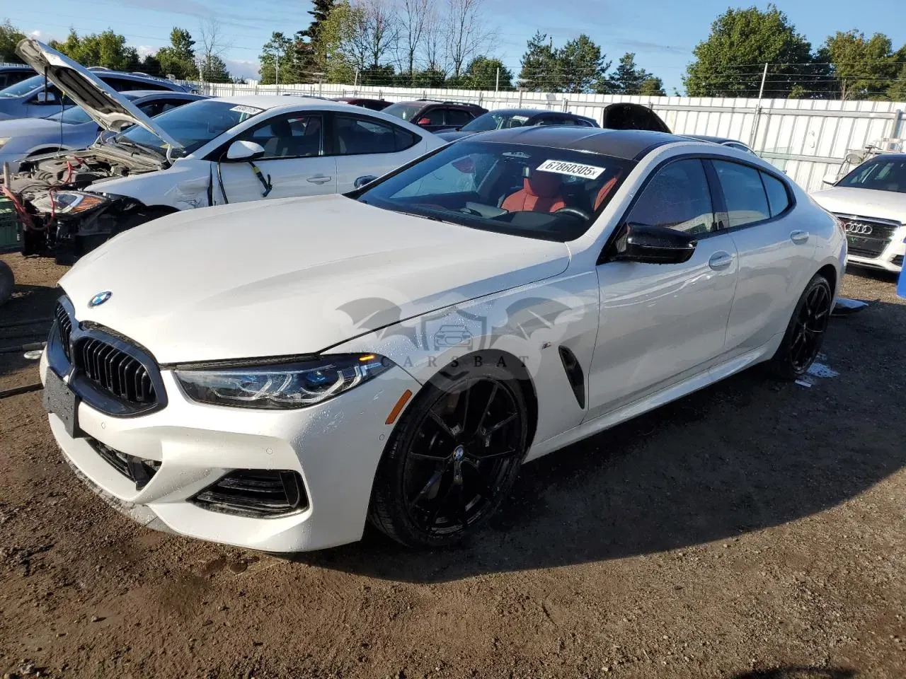 BMW 8 Series 4.4L 8 2024