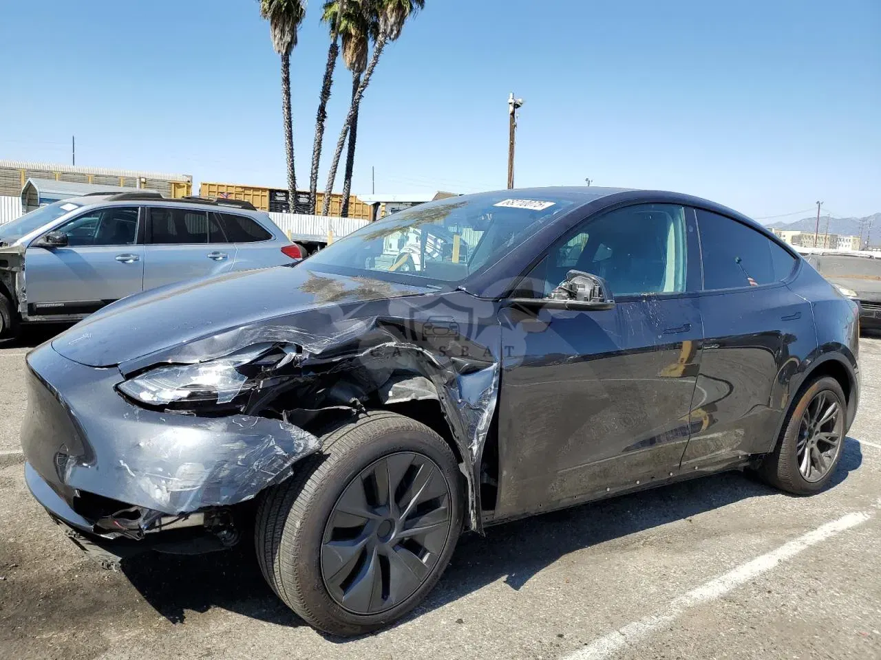 Tesla Model Y 2024