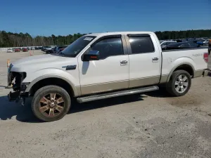 Ford F-150 SUPERCREW 5.4L 8 2010