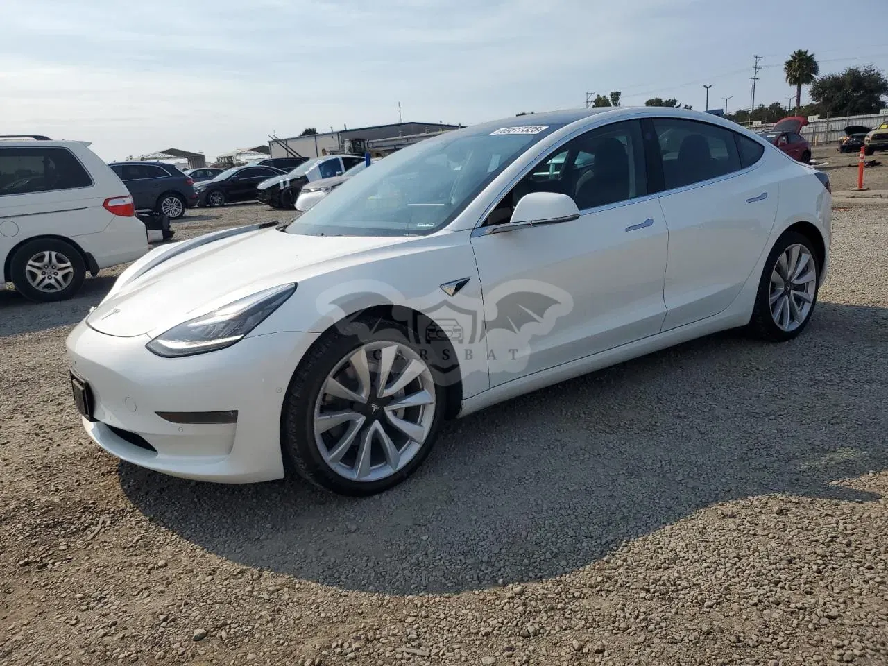 Tesla Model 3 2019