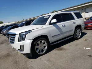 Cadillac Escalade LUXURY 6.2L 8 2019