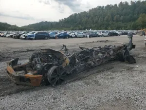 Ford F-150 SUPERCREW 5.0L 8 2019