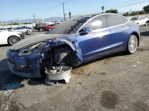 Tesla Model 3 2019