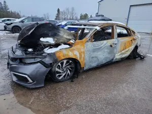 Honda Civic 2.0L 4 2019