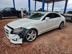 Mercedes-Benz CLS 4.6L 8 2014