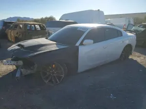 Dodge Charger SCAT PACK 6.4L 8 2019