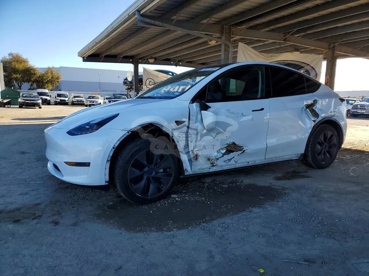 Tesla Model Y 2025