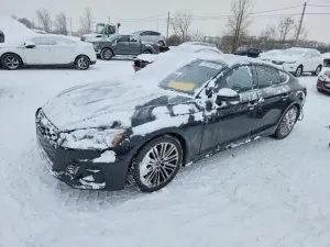 Audi S5 3.0L 6 2024