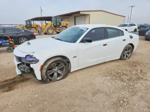 Dodge Charger POLICE 5.7L 8 2017