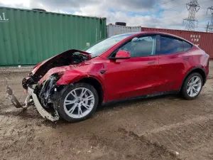 Tesla Model Y 2024