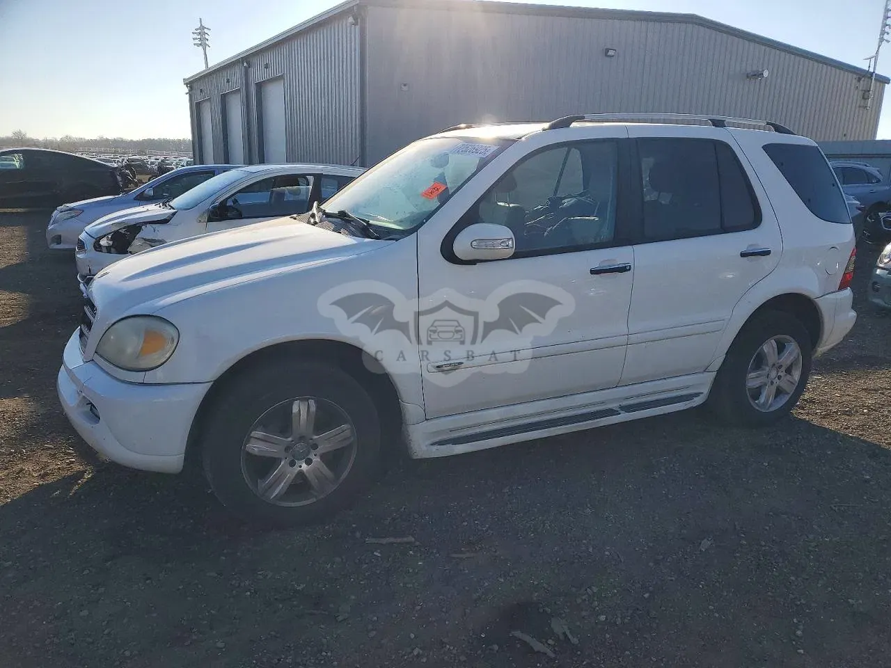 Mercedes-Benz ML 500 5.0L 8 2005