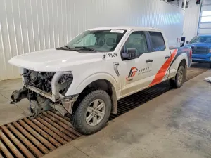 Ford F-150 5.0L 8 2023