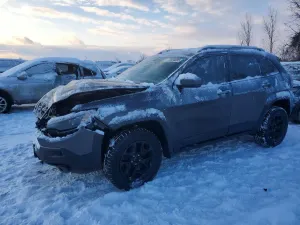 Jeep Cherokee 3.2L 6 2019